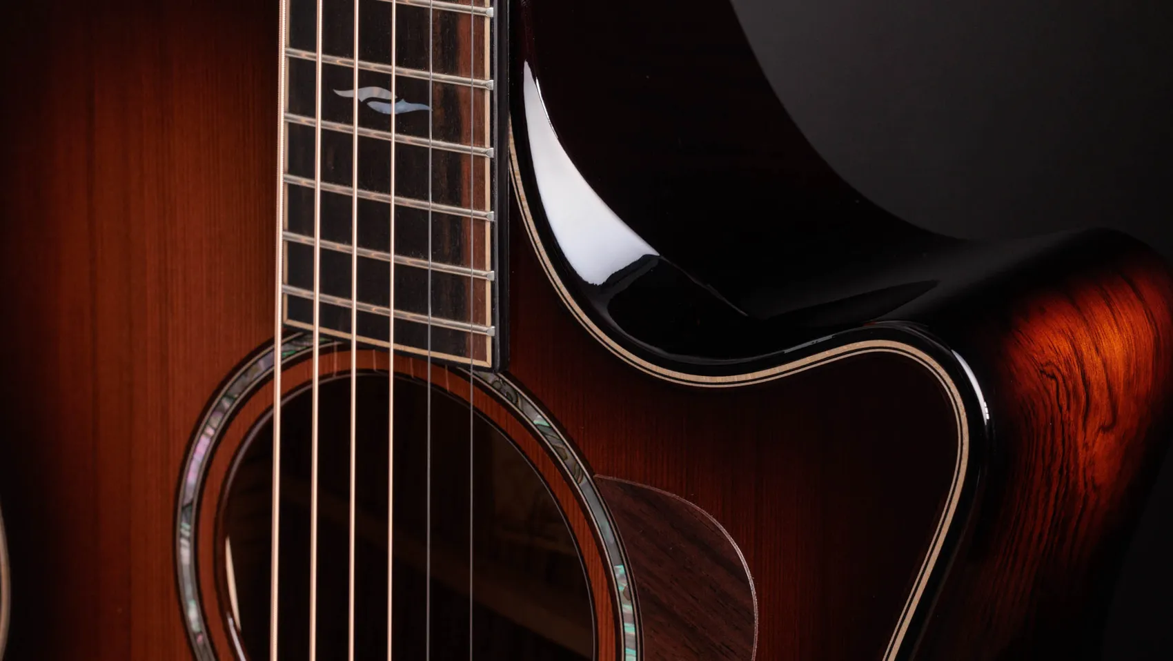 トラベラーギター　960081 アメリカ　カリフォルニア トラベラーギター 960081 アメリカ カリフォルニア Traveler Guitar